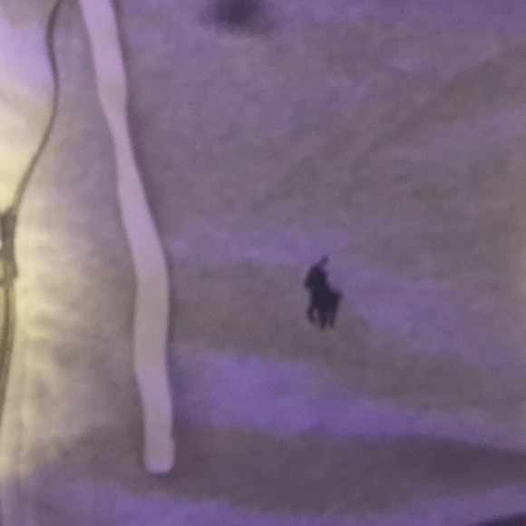 GREY POLO SWEAT SUIT THIS JUST THE HOODY BUT I GOT THE SET - Picture 2 of 3